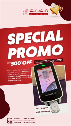 Red Marks Animal Clinic | SNAP 4Dx Test Kit Promo | Red Marks Animal Clinic