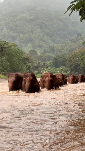 201K views · 128K reactions | As evening falls, it’s time for the...