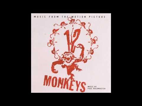 Paul Buckmaster - Sleepwalk