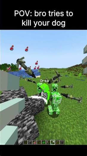 Minecraft dog meme #minecraft #minecraftmemes #minecrafter