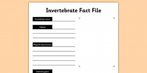 Invertebrate Fact File Worksheet