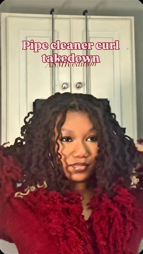 Pipe cleaner curl take down pt.2 💜 - - - New year same program…kinda lol 😅 Still showing the loc babes the versatility of locs one post at a time can’t wait to most more content 🥰 - - - If viewing follow~ @miss.savagestylez 💕 - - - #explorepage #locstylesforwomen #naturalhair #locs #asmr | Tahliyah Savage