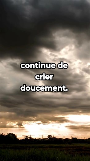 💔 Si la douleur te brise et que l’absence te pèse, « Sans toi » est né pour t’accompagner dans ce vide. 👉 Clique ici pour le trouver sur Amazon : https://amzn.eu/d/aJ0f1nw | Sans Toi