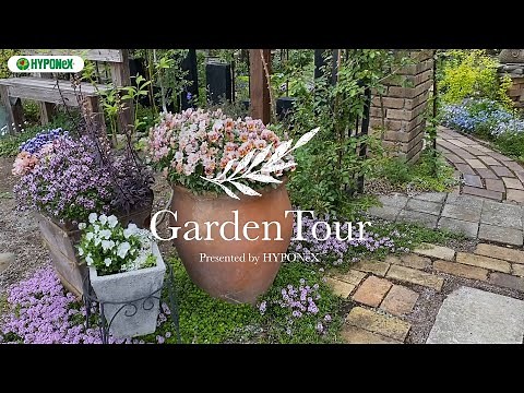 🕊Garden Tour🕊17：雑木やリーフ中心に、落ち着いた色合いの宿根草で彩る癒しのお庭