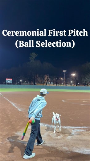Dog Selects Ball Then Plays Shortstop!