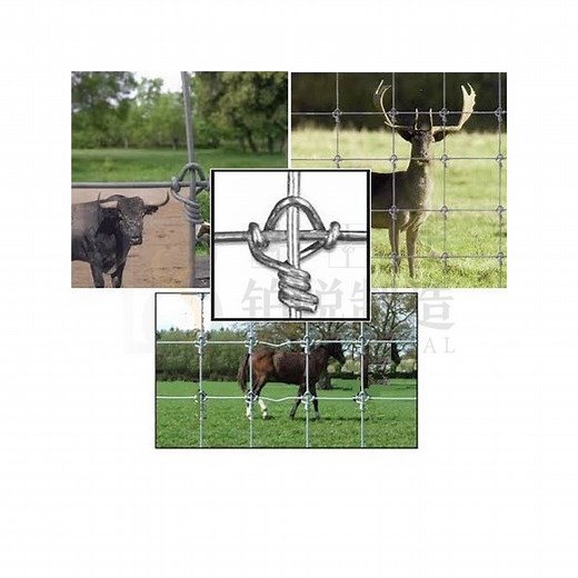 [Hot Item] Agricultural Field/Fixed Knot/Ranch/Woven Wire Field Fence / Factory Fixed Knot Fence