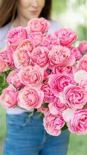 1.9K views · 2.3K reactions | All Dressed Up!勺勺 All Dressed Up began...