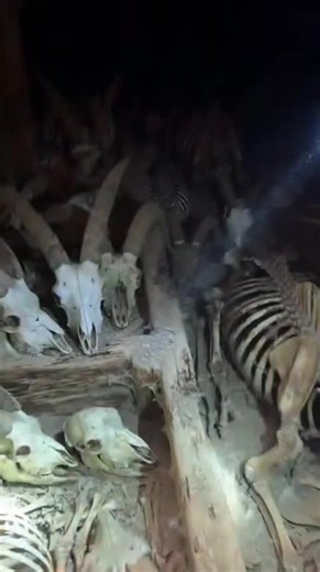 what they have found in digging is this true? #ancientmystery #hiddenfootage #arkfootage #insideark #noahsark