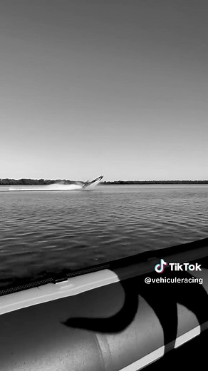 Exploring Thunderboat Racing: A Thrilling Water Sport Spectacle