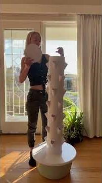 Hydroponic Tower Garden: Step-by-Step Guide for Beginners | DIY Indoor Vertical Gardening