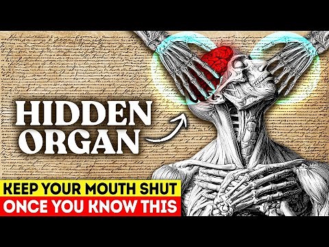 They Never Wanted You To Use THIS Organ: It Controls Your Reality (No BS Guide)