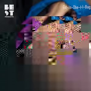 390K views · 2.2K reactions | Getting your cat from point A to point B just got a lot easier  Get it here: amzn.to/2sBTB34 (We make ) | BestProducts.com | Facebook