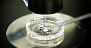 More companies adding, expanding fertility benefits for employees