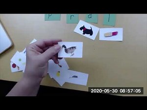 Phonemic Awareness Sorting Activity