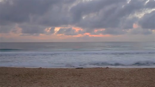 第231集 超级超级喜欢你 .