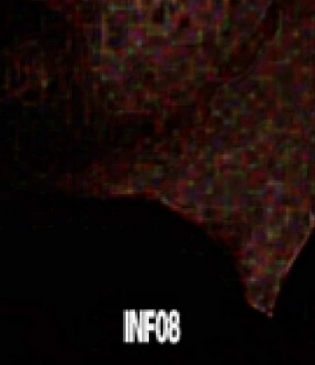 Stranger Things wormhole theory: What’s on the other side?