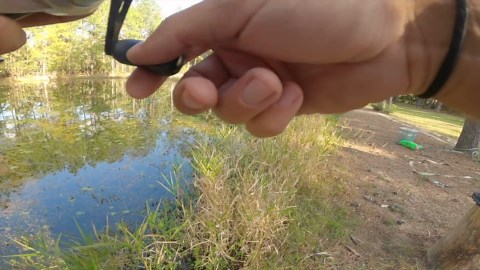 Backyard pond fish growing dangerously large over time