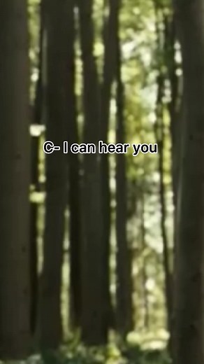 Part one of Princess Ariella (y/n) #narnia #fornarniaandforaslan #princecaspian #peterpevensie #edmundpevensie #lucypevensie #susanpevensie #fornarnia