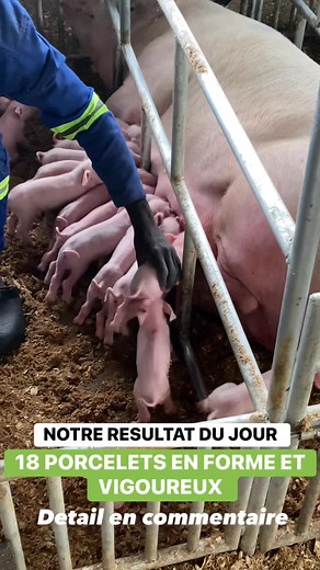 116K views · 902 reactions |  Pas de secret, juste de la rigueur et...