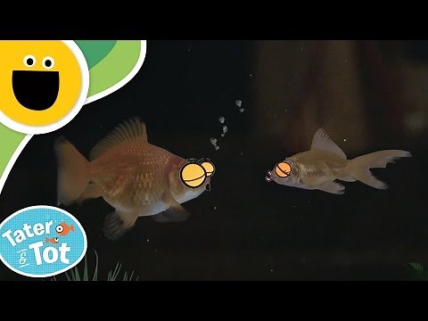 Afraid of the Dark | Tater & Tot (Sesame Studios)