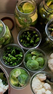 32K views · 12K reactions | Pickled beans, asparagus, brussels and cauliflower! We go through these like there’s no tomorrow! This is just a waterbath canning recipe so great for beginners! @denalicanning has the BEST lids, so go grab a bulk pack and save some money, too! #selfsufficient #homestead #urbanhomestead #selfsufficiency #canningandpreserving #canning #waterbathcanning | Barefoot.mimosas | Facebook
