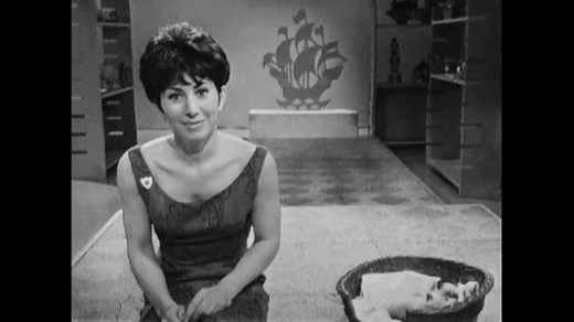 14K views · 196 reactions | This evening, Henry the dog becomes the latest in a long line of Blue Peter pets. The first Blue Peter cat, Jason, was introduced by Valerie Singleton in 1964. | BBC Archive | Facebook