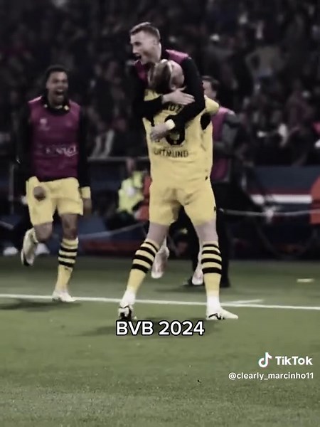 Borussia Dortmund's UEFA Champions League Journey