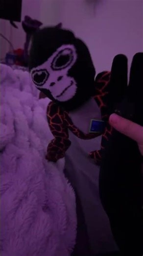 Good monkey stopping a robber ￼