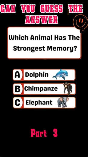 Can You Guess the Answer? 🤔 (Quiz) | Part 3 | #shorts #youtubeshorts #viralshorts #quiz #part3