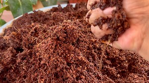 Backyard Gardening on Reels