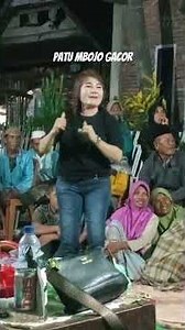 BIOLA GAMBUS BIMA VIRAL #trending