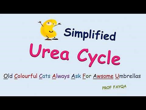 Urea Cycle Mnemonics