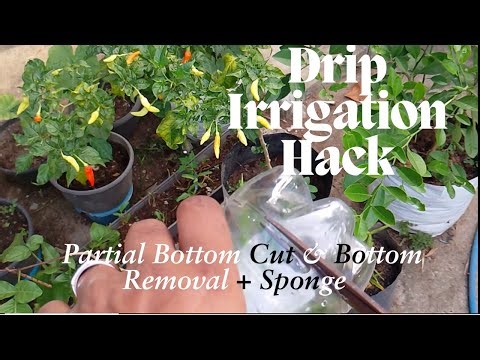 Drip Irrigation Bottle Hack video: