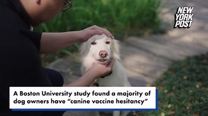 Woof! Anti-vaxxer pet owners nix rabies shots over doggie ‘autism’ fears: study