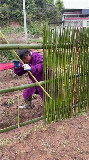 Zero Basis Learning Step by Step