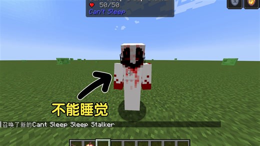 我的世界恐怖模组：The Haunting of Can't Sleep