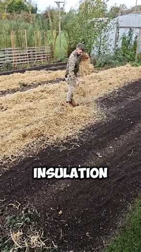 2.7K views | How to grow audience with garden 華️ #diy #story | Flex River | Facebook