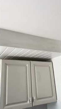 Hearing Mice Noises in Ceiling or Wall | Mouse Scratching/Moving/Scurrying in The Kitchen