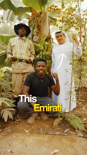 Rashid Lumunye on Instagram: "They are growing tropical plants in the deserts of the UAE 🇦🇪 @alioch22 and @ahmedalhefeiti are changing the UAE’s agricultural landscape @wadi_dafta_plantation in Fujairah! #Dubai #UAE #viral"