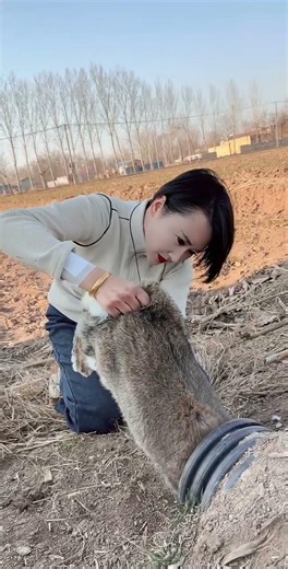 我希望，我讨厌的人倒霉，骂我的人烂嘴，伤害我的人遭报应，我只是看上去大方，从来没有说过，我会原谅那些傻子。