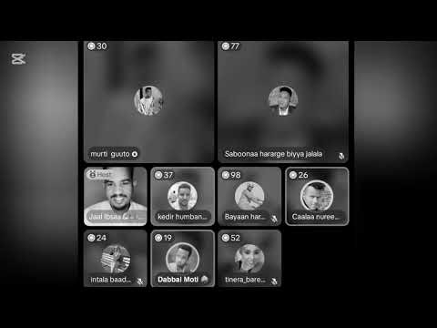 Arafat😘Jollee Arsiitii murtii guto fii Dabaal Bayaan hararge Ajanda godhu ja,een Video gutusa lala 