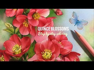SPRING - Quince Blossoms | Step by Step Coloring // Chris Cheng