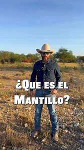 57K views · 1.1K reactions | El mantillo es la capa de materia orgánica que cubre la tierra. Sus mayores beneficios son conservar humedad, semillas y regular la temperatura del suelo. Eventualmente con los años a través del sistema de pastoreo que estamos haciendo aumentará la cantidad de mantillo que tenemos en el rancho y cubrirá todo ese terreno pedregoso convirtiéndolo en tierra fértil!#ganaderiaregenerativa | Rancho El Puerto | Facebook