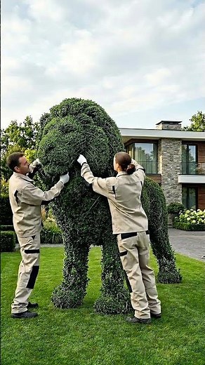 “Lion Sculpture Made from a Bush in the Garden”