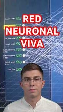 📝 This is what a neural network does on the inside #AI