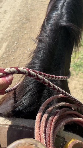 18K views · 429 reactions | Cattle time | femalefarmerrancher | Facebook