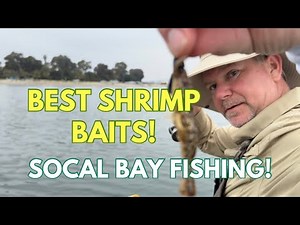 Southern California Bay Fishing: Exploring Shrimp Baits!