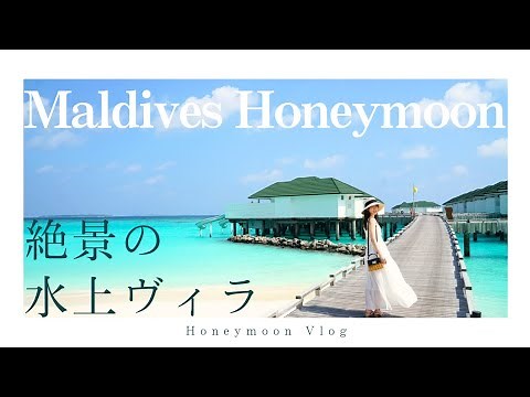 【モルディブ最大のリゾート】絶景のビーチと水上ヴィラで過ごす猫好き夫婦のハネムーン🏝️[4k]