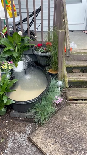 I put a small pond in my back yard.