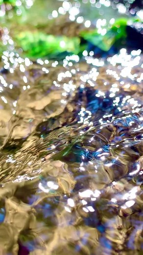 小さい水路が凄く綺麗だった。#湧き水 #綺麗 #水路 #光 #自然 #癒しの時間 #何気ない幸せ #この世界の片隅に #綺麗な世界 #水のある風景